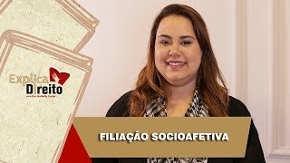 Explica Direito Filiação Socioafetiva  2019 [upl. by Harlin]